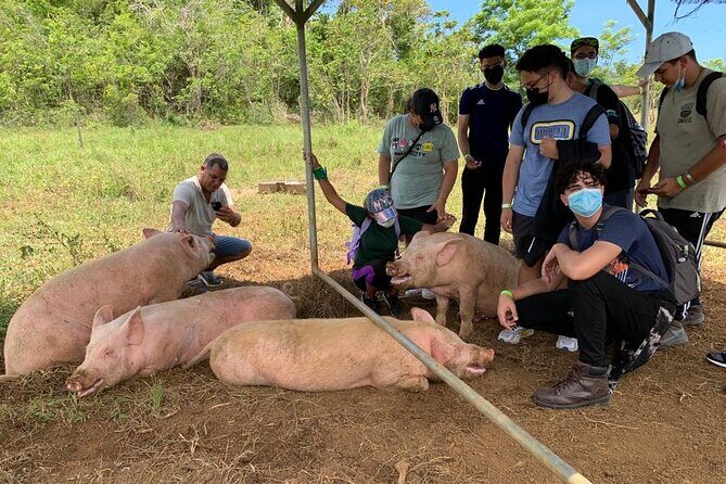 Eco Friendly Farming Tour to Explore Dorado's Most Beautiful Farm - Value check: is $20 for a farm tour a good deal?