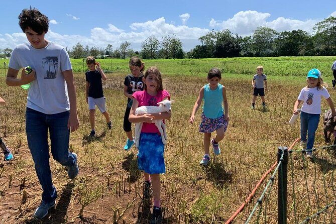 Eco Friendly Farming Tour to Explore Dorado's Most Beautiful Farm - The best part: the farm store stop with eggs, meat, dairy, pizza, and gelato