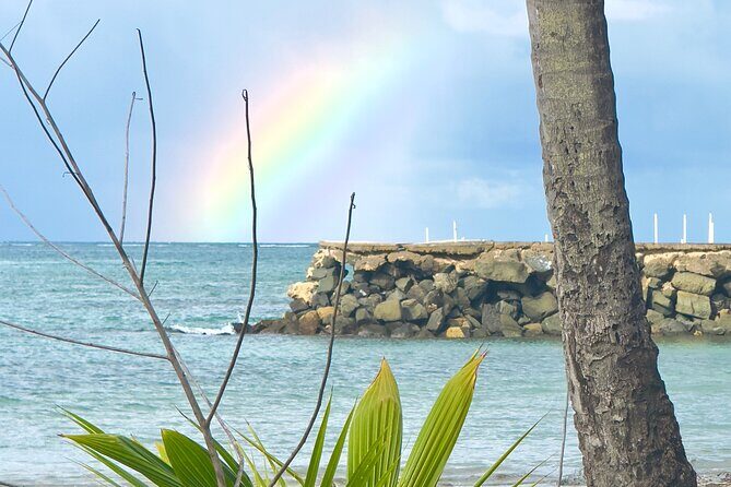 El Yunque Hike, Waterslide & Luquillo Kiosks Food with Transport - Luquillo Kiosks (Kiosko 22 Area): Eating Where Locals Actually Go
