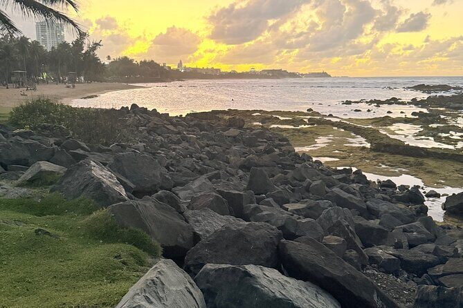 El Yunque Hike, Waterslide & Luquillo Kiosks Food with Transport - Who Should Book This El Yunque Day (and Who Might Not)