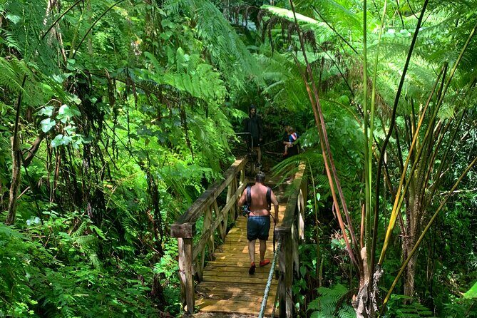 El Yunque National Forest and Luquillo Beach Combo - Key highlights that make this day trip work