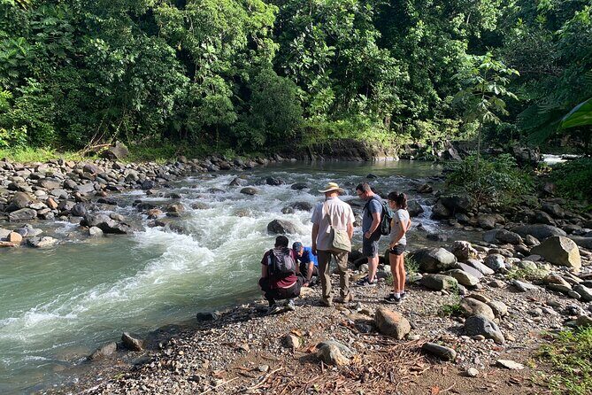 El Yunque National Forest and Luquillo Beach Combo - A 6-hour combo: why El Yunque and Luquillo fit together