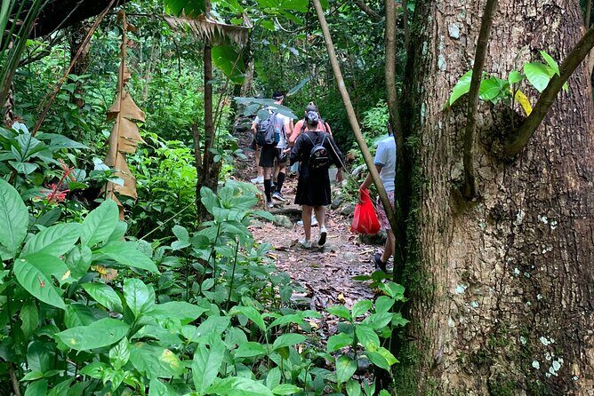 El Yunque National Forest and Luquillo Beach Combo - Stop at Torre Yokahu: the fastest way to get the “wow”