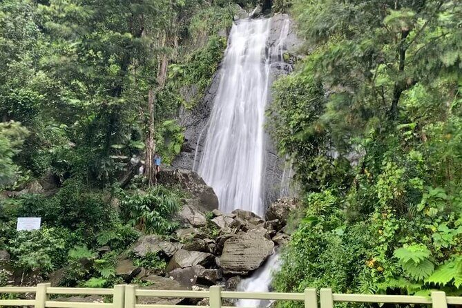 El Yunque National Forest and Luquillo Beach Tour - Torre Yokahu: 69-foot views and a first taste of El Yunque