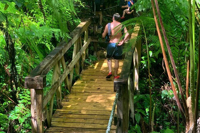 El Yunque National Forest and Luquillo Beach Tour - Puente Roto and the El Yunque walk: gentle pace, real footing