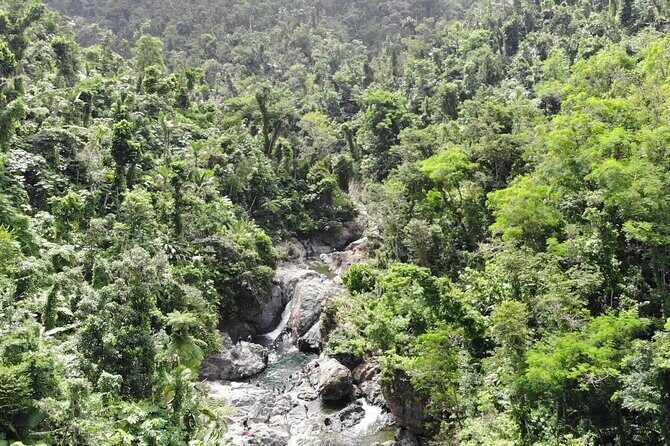 El Yunque National Forest and Luquillo Beach Tour - The rainforest swim at Rio Mameyes: the fun part, with real entry challenges