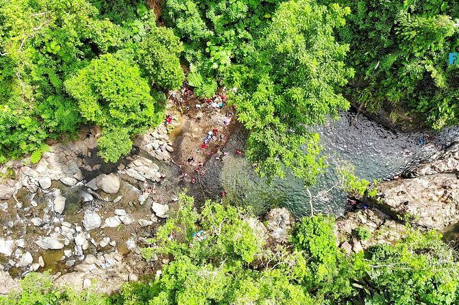 El Yunque National Forest and Luquillo Beach Tour - Price and what you actually get for $79
