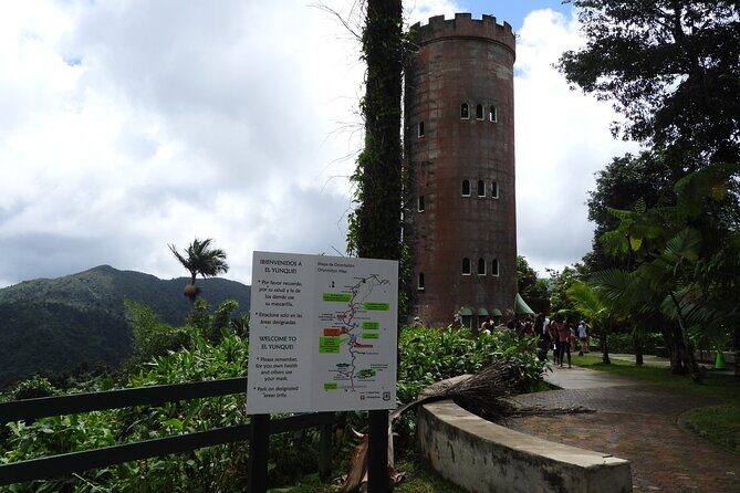 El Yunque National Forest and Luquillo Beach Tour - What to bring (so the rainforest doesn’t win)