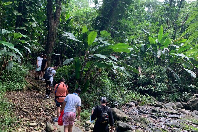 El Yunque National Forest and Luquillo Beach Tour - Catarata La Coca: a short stop with a big vertical story