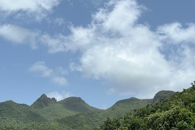 El Yunque National Forest Guided Tour with Transport - Guides like Isaac, Pedro, Louis, Ingrid, and Luis: why the day feels personal