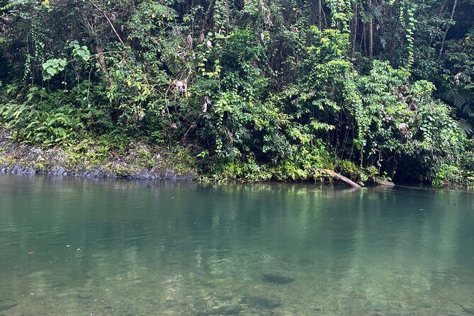 El Yunque National Forest Guided Tour with Transport - Price value for $80: what you get (and what you don’t)
