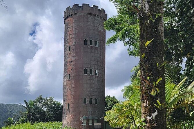 El Yunque National Forest Guided Tour with Transport - Fitness level and pacing: when “moderate” becomes more work
