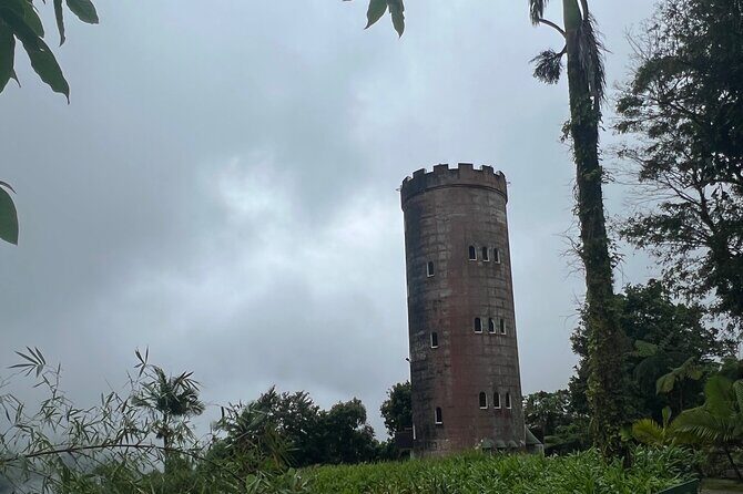 El Yunque National Forest Guided Tour with Transport - Should you book Louie’s VIP Tours to El Yunque?