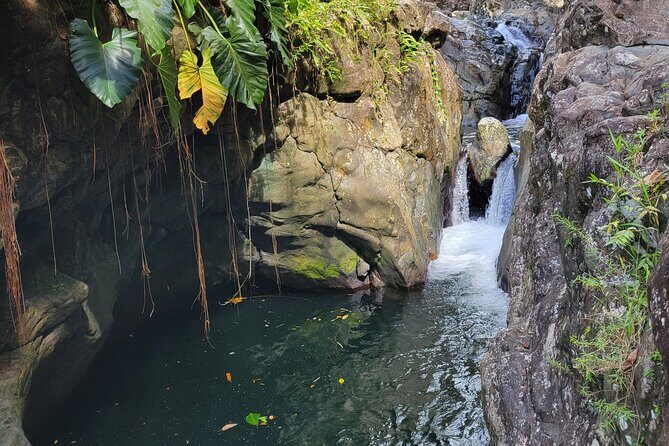 El Yunque Rainforest and Luquillo Kiosk Day Trip - The day plan: how the timing works from early start to beach lunch