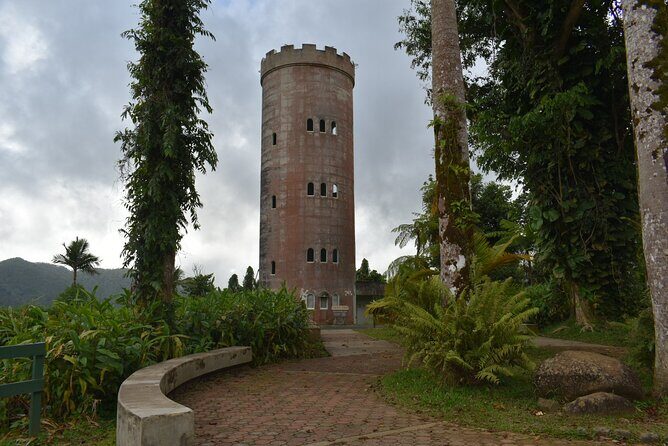El Yunque Rainforest Guided Day Tour from San Juan - Key things I’d circle before you book