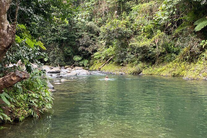 El Yunque Rainforest Guided Day Tour from San Juan - Torre Yokahú: the 360-degree viewpoint you can reach quickly