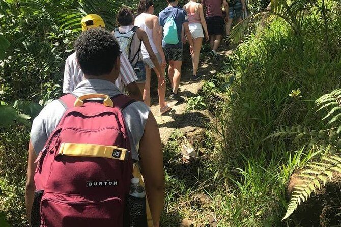 El Yunque Rainforest Guided Day Tour from San Juan - What the guides do besides point and talk