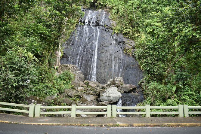 El Yunque Rainforest Guided Day Tour from San Juan - Lunch on the way back: plan your own meal without stress
