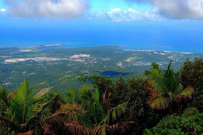 El Yunque Rainforest Guided Tour - Key Highlights You’ll Feel Right Away