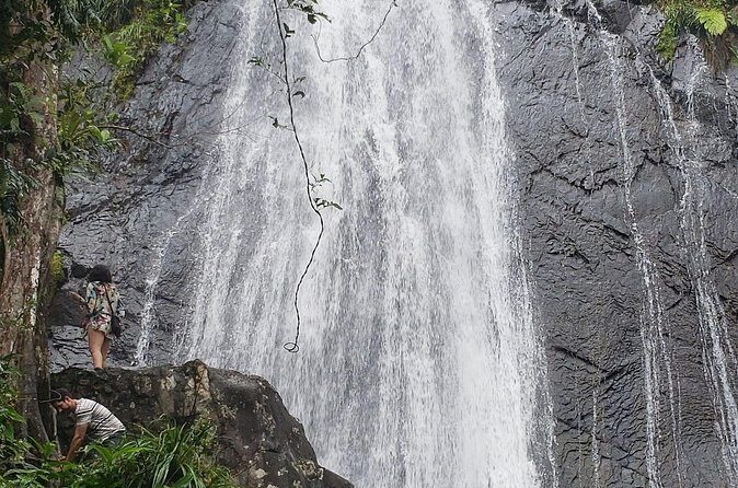 El Yunque Rainforest Guided Tour - River Swimming and the Watering Hole: How to Enjoy It Safely