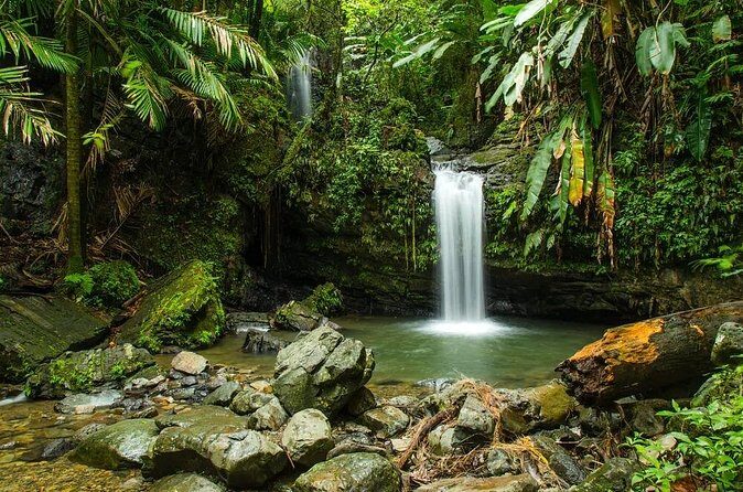 El Yunque Rainforest Guided Tour - Tour Logistics: Group Size, Guide Flow, and Physical Expectations