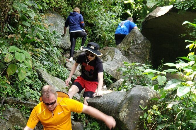 El Yunque Rainforest Guided Tour - Entering El Yunque National Forest: Trails, Views, and Real Explanations