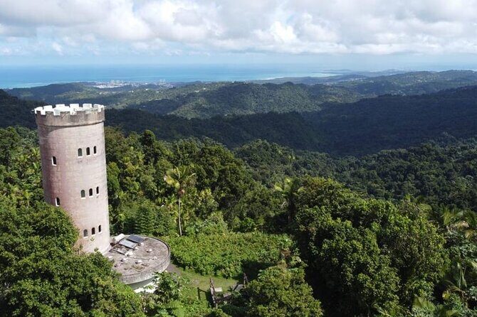El Yunque Rainforest Hike with Transport from San Juan - Key Highlights You’ll Care About