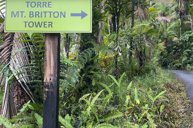 El Yunque Rainforest Hike with Transport from San Juan - Stop 1: A Guided El Yunque Rainforest Hike (What You’ll Actually Do)