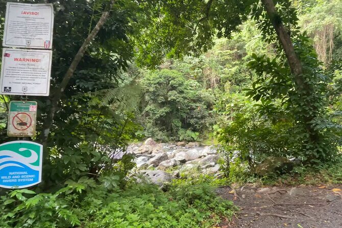 El Yunque Rainforest Hike with Transport from San Juan - Stop 2: Mt. Britton Lookout Tower and the View Check