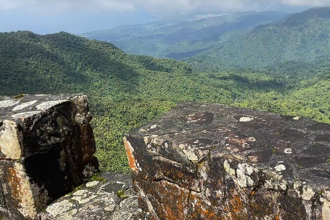 El Yunque Rainforest Hike with Transport from San Juan - Waterfalls and Swimming Pools: Where the Rainforest Shows Off