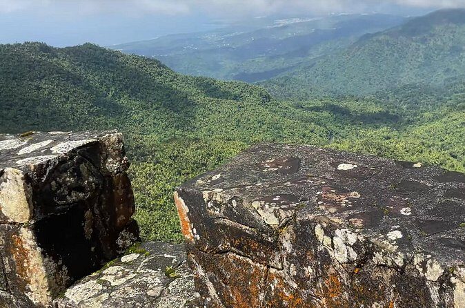El Yunque Rainforest Hike with Transport from San Juan - Food and Drinks: What’s Not Included (and How to Handle It)