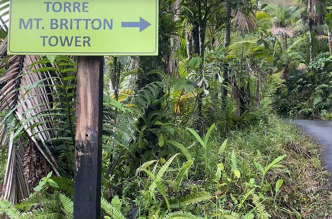 El Yunque Rainforest Hike with Transport from San Juan - What Makes the Guides Matter Here (Luis and Diana as Examples)