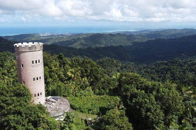 El Yunque Rainforest Hike with Transport from San Juan - Price Check: Is $125 Worth It From San Juan?