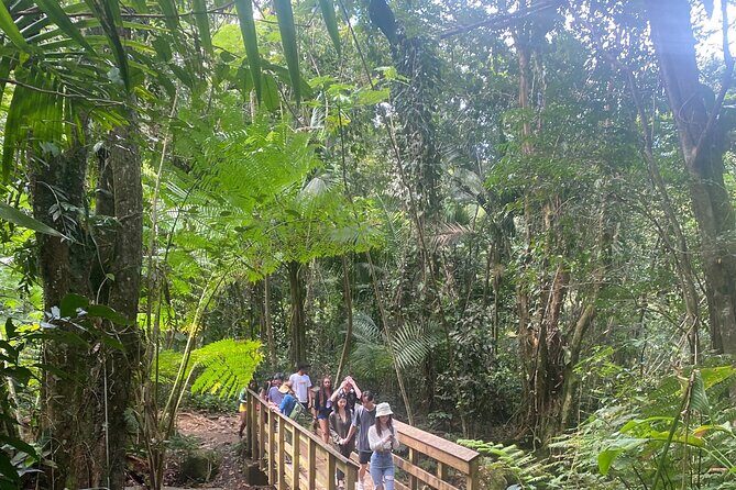 El Yunque Rainforest Hiking Tour from San Juan - What I like most