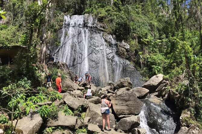 El Yunque Rainforest Hiking Tour from San Juan - One drawback to plan for