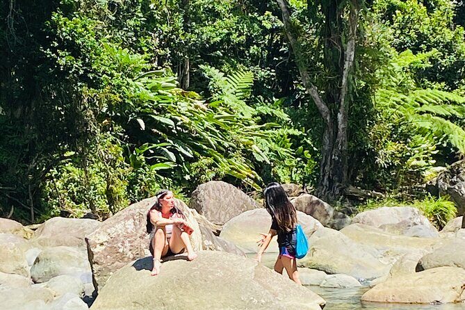 El Yunque Rainforest Hiking Tour from San Juan - Getting into the forest the easy way (and why it’s worth it)