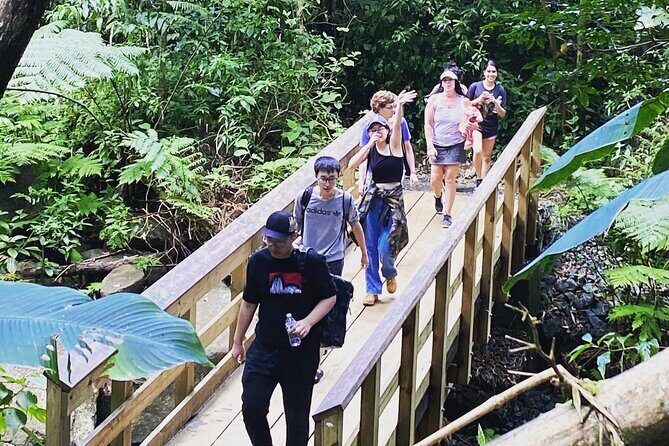 El Yunque Rainforest Hiking Tour from San Juan - The climb to Yokahu Tower: big views with a doable hike