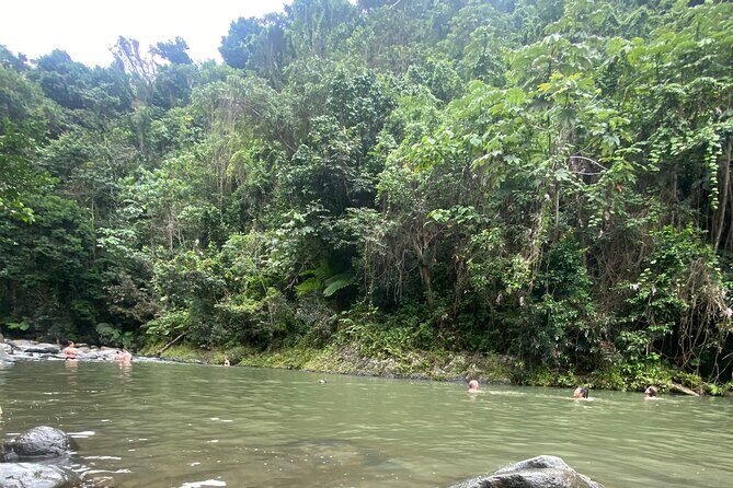 El Yunque Rainforest Hiking Tour from San Juan - La Coca Falls: the payoff stop for waterfall lovers