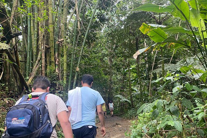 El Yunque Rainforest Hiking Tour from San Juan - The rainforest trail walk and the optional swim at the river