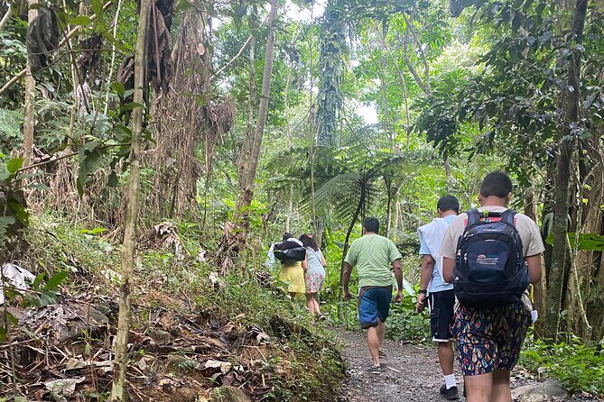 El Yunque Rainforest Hiking Tour from San Juan - Why this El Yunque tour is such a good San Juan match