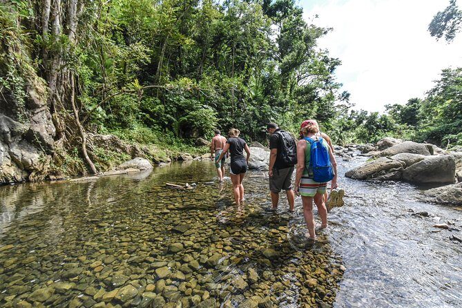 El Yunque Rainforest Tour from Fajardo - Stop 1: Las Tinajas y Charco Frío Pools, Wading, and the First Swim