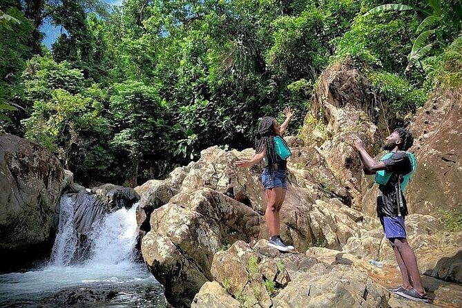 El Yunque Rainforest Tour Half Day Earlybird/ Small Groups - Safety gear, guide attention, and the fitness reality check