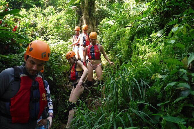 El Yunque Rainforest Tour: Natural Waterslides Adventure - Quick Hits Before You Go
