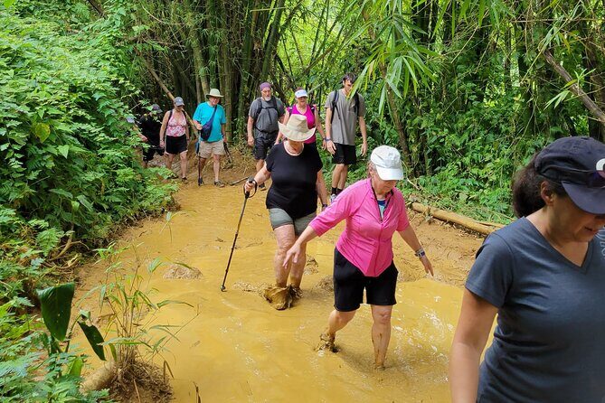 El Yunque Rainforest - Waterslide, Cliff jump, and Rope swing! - Cliff Jumps and Rope Swing: Nerves, Safety, and Photos