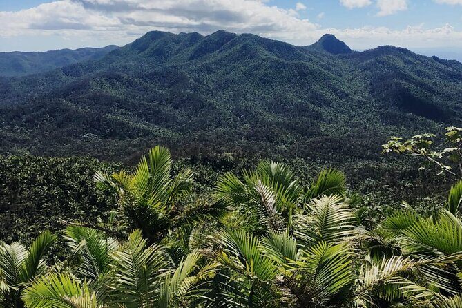 El Yunque Rainforest Waterslides and Luquillo Beach w/ Transport - Key Things That Make This Tour Work