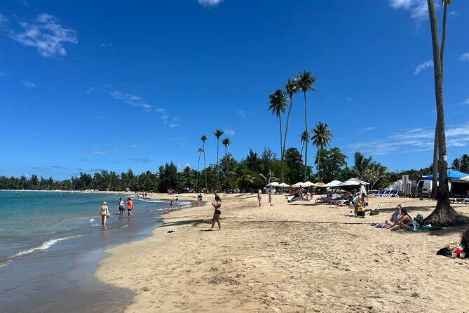 El Yunque Rainforest Waterslides and Luquillo Beach w/ Transport - Price and Value: Is $49.99 Worth It?