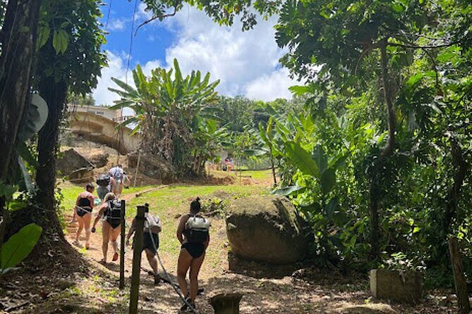 El Yunque Waterslide and Waterfall Tour with Food and Photos - San Juan Pickup and a Small-Group Day That Actually Moves