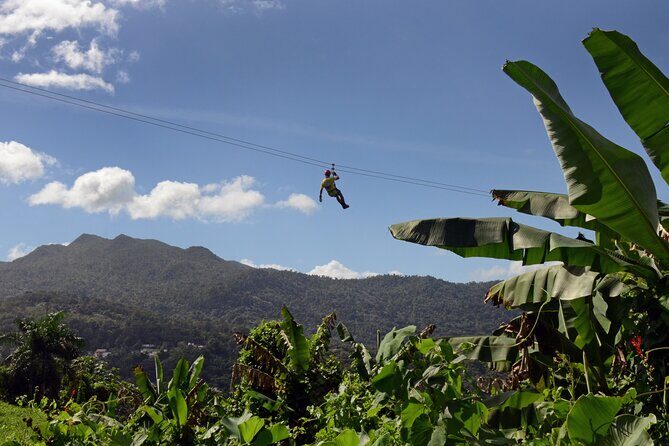 El Yunque Ziplining in Puerto Rico - Key things that make this El Yunque zipline tour worth it