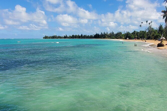 El Yunque Ziplining with River and Beach Visit - Getting oriented: what happens before you fly