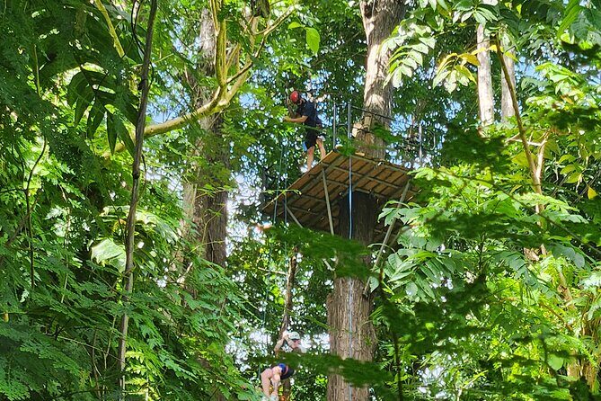 El Yunque Ziplining with River and Beach Visit - Who should book this zipline-and-beach combo